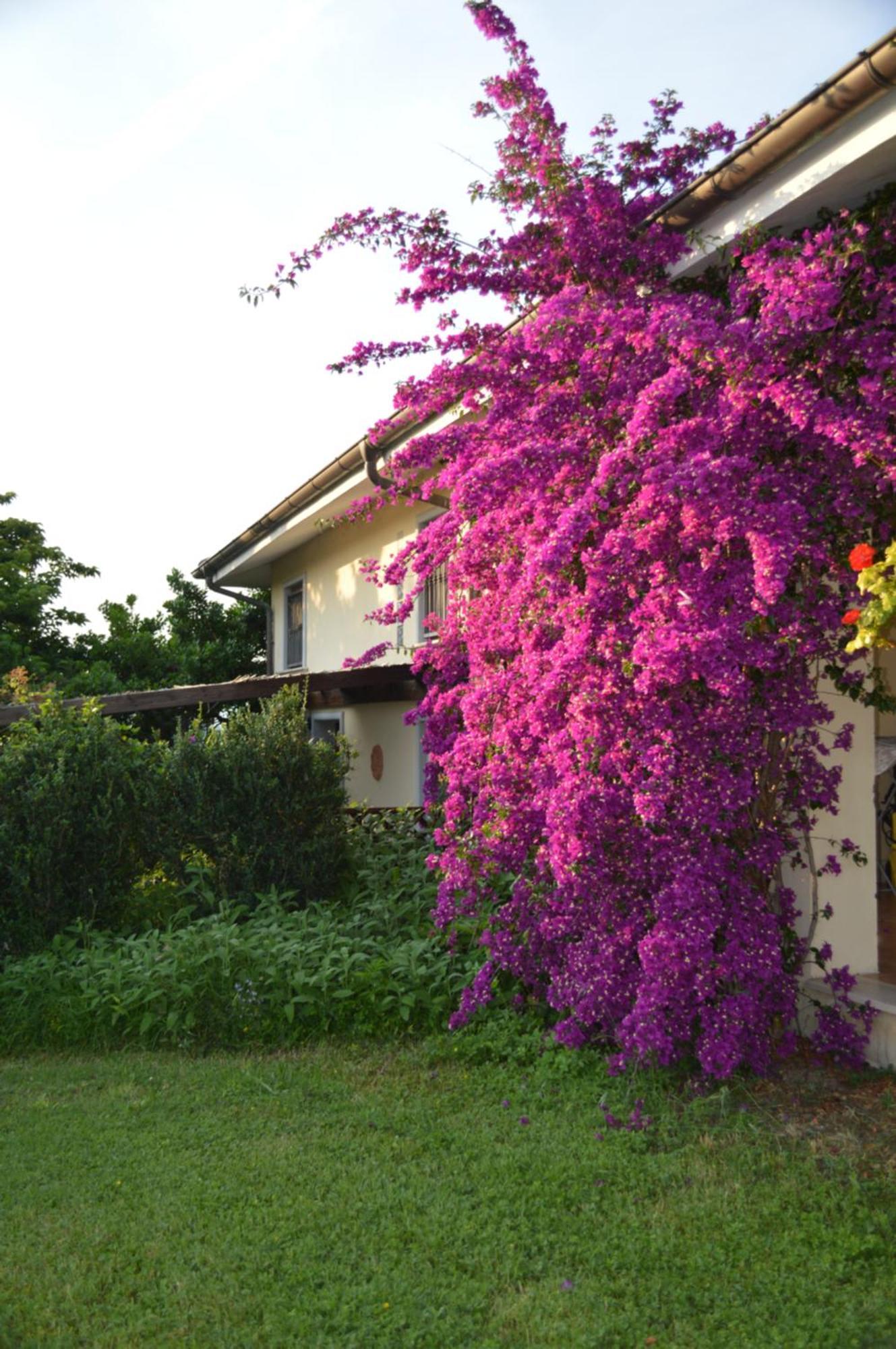 Villa Collebelvedere - Near Rome With Home Restaurant Fara in Sabina Exterior photo